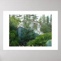 Boat in the trees! poster