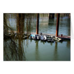 boats at dock greeting card