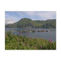 Boats at the spit in Dutch Harbour, Alaska