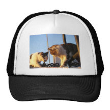Boatyard Cats Hats