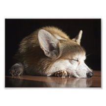 Bob08.png Photo Print