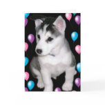 Bob and Balloons Cards