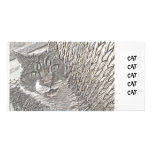 BOB THE CAT PHOTO CARD