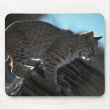 Bobcat backlit mouse pad
