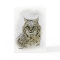 Bobcat Greeting Card