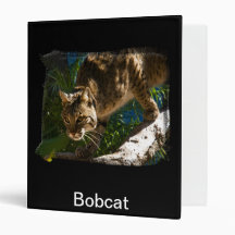 Bobcat Crouch Binder