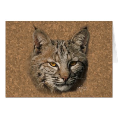 Bobcat Greeting Card by natures_edge