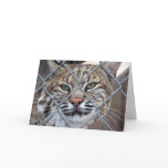 Bobcat Lynx Wild Cat Greeting Card