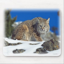 bobcat_mousepad mousepads