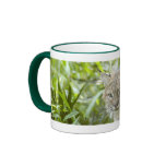 Bobcat Mugs