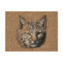 Bobcat Postcard