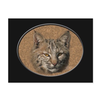 Bobcat Postcard 2 by natures_edge