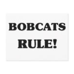 Bobcats Rule Postcard