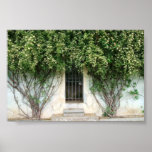 Boboli Gardens Original Print
