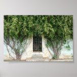 Boboli Gardens Sketch posters