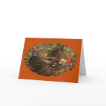 Bobwhite Miracle Cards