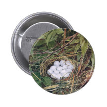 Bobwhite Nest Full of Eggs Buttons