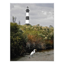 Bodie Island Lighthouse With Egret Photo Art