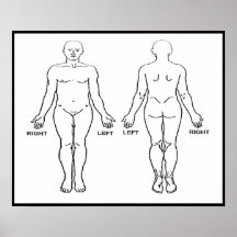 Body Poster