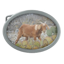 Boer goat belt buckle