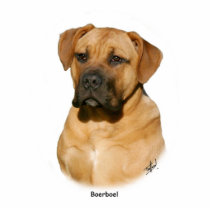 Boerboel 9Y121D-294 Acrylic Cut Out