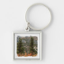 BOFR Boreal Friends Key Chains