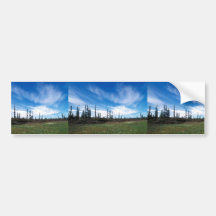 Bog and Sporadic Spruce Bumper Sticker