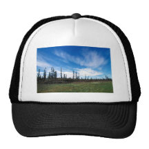 Bog and Sporadic Spruce Trucker Hats