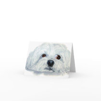 Bogart the Maltese Notecard