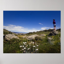 bogong high plains poster