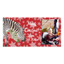 Bohemian Zebra Christmas  Photo Card