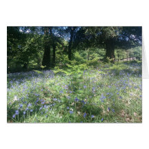 Bois de jacinthe des bois cartes