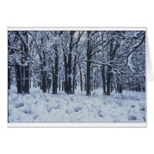 Bois d'hiver cartes de vœux