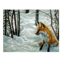 Bois d'hiver, Fox Cartes Postales