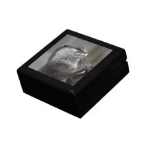 Boîte-cadeau de cerveau de loutre boîte à souvenirs