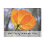 Bold Orange Iceland Poppy Post Card