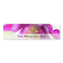 Bold Purple Columbine Bumper Stickers