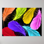 Bold Vivid Wild Colored Feathers On Black Poster