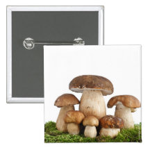 Boletus Edulis mushrooms Button
