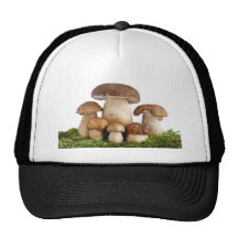 Boletus Edulis mushrooms Hats