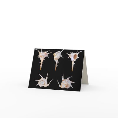 Bolinus Cornutus Card by aapshop
