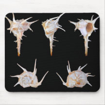 Bolinus Cornutus Tapis De Souris