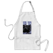 Bombay Aprons