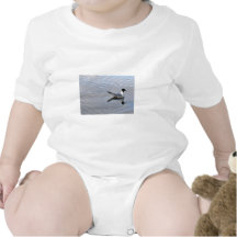 Bonaparte's Gull T Shirts