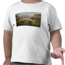 Bonaparte's Mal-Maison at St. Helena, 1821 Shirts