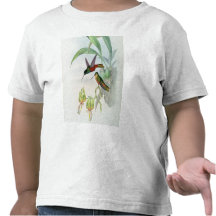 Bonaparte's Star Fronted Hummingbird (coloured lit Tshirt