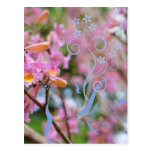 Bonbon rose cartes postales