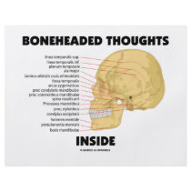 Boneheaded Thoughts Inside (Anatomy Humour)