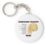 Boneheaded Thoughts Inside (Anatomy Humour)
