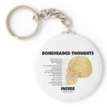 Boneheaded Thoughts Inside (Anatomy Humour)